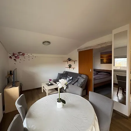 公寓 Apartma Vinko *