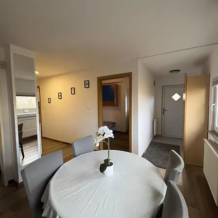 Apartma Vinko 公寓 卢布尔雅那