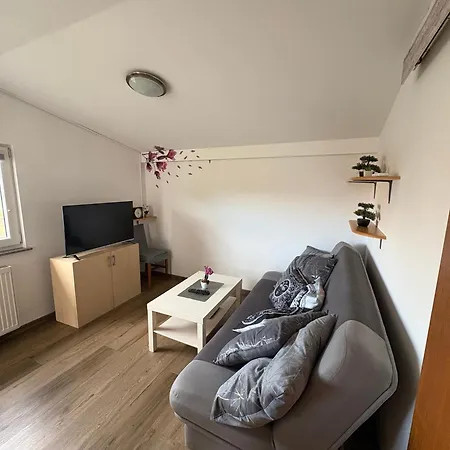 Apartma Vinko 公寓